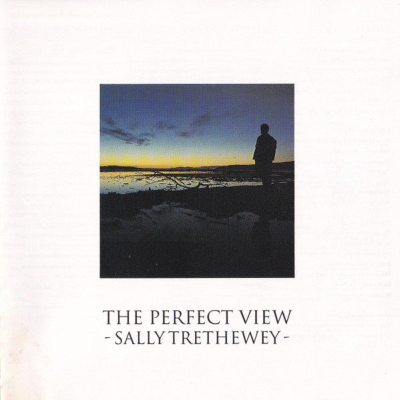 Sally Trethewey – The Perfect View (CD, Album) (Near Mint (NM or M-))
