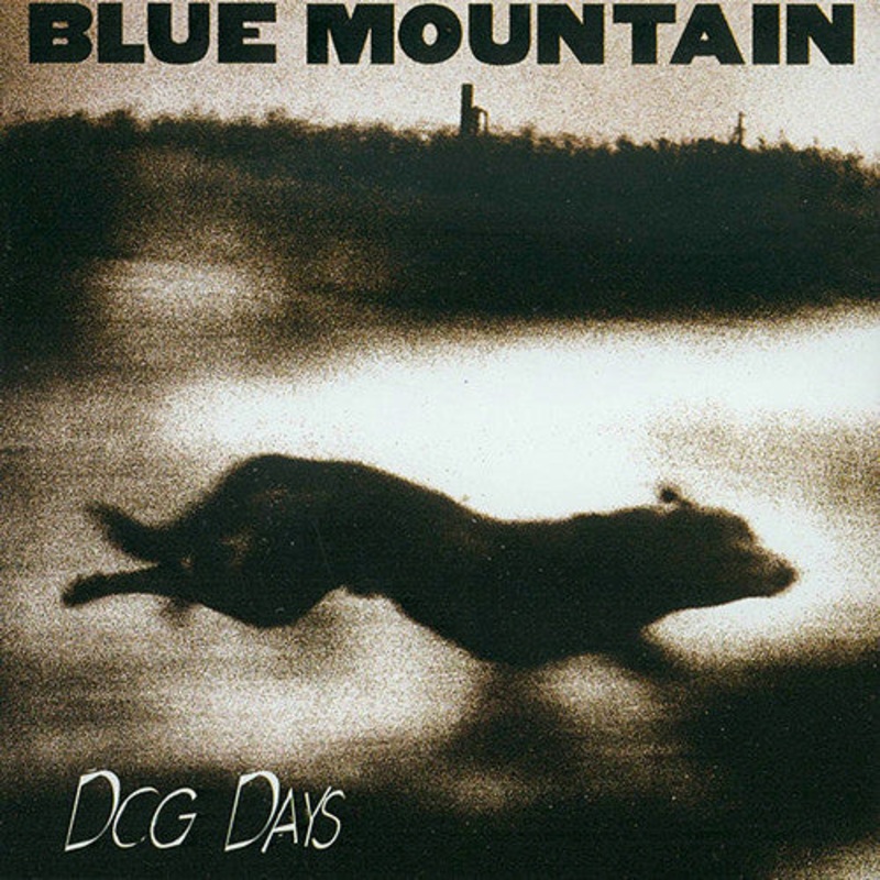 Blue Mountain – Dog Days (CD, Album) (Near Mint (NM or M-))