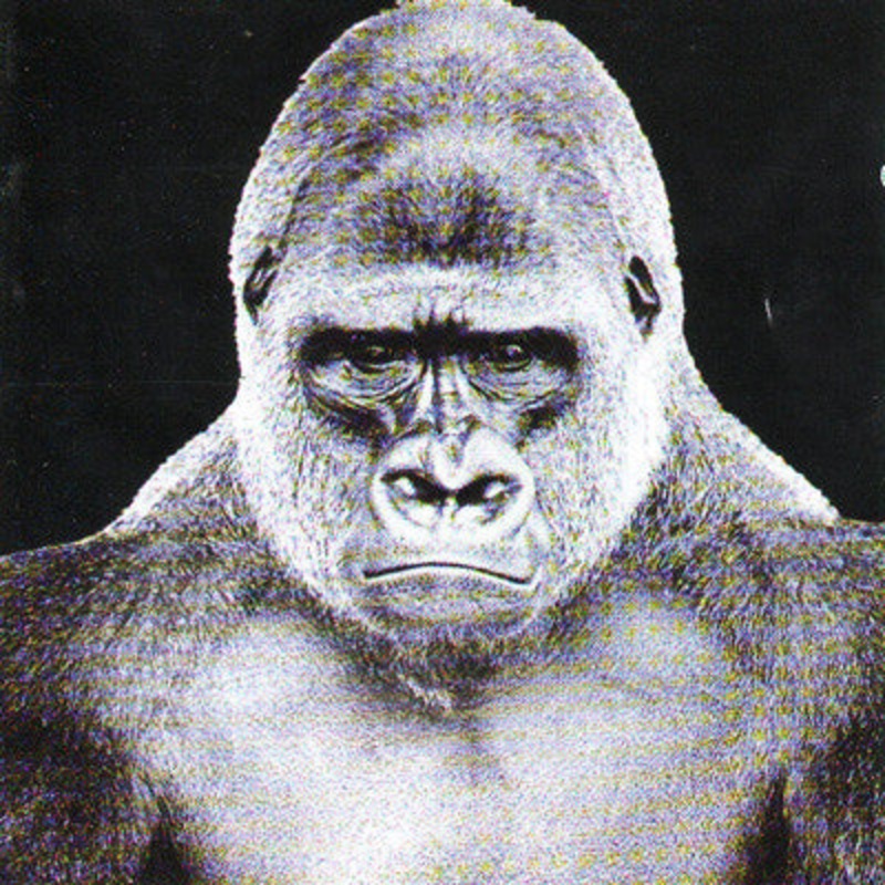 The Screaming Jets – The Screaming Jets (CD, Album) (Very Good (VG))