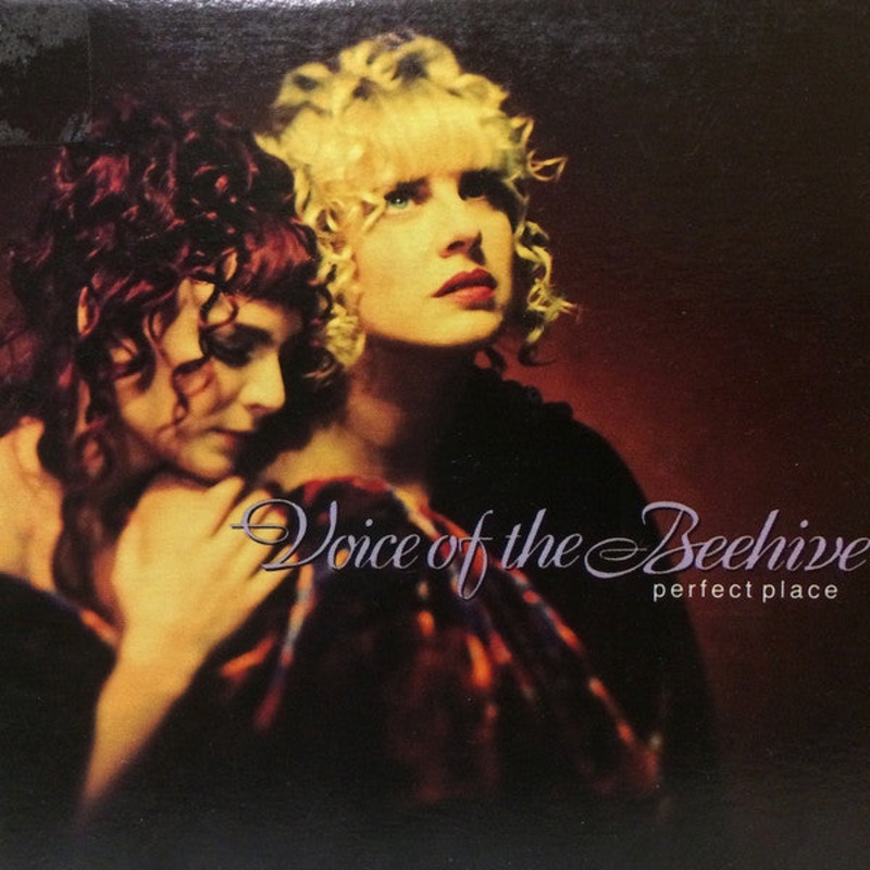 Voice Of The Beehive – Perfect Place (CD, Single) (Very Good (VG))